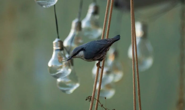 Koliko Dugo Može Trajati Strpljenje? Ispovijest Jedne Svekrve o Raspadu Obitelji