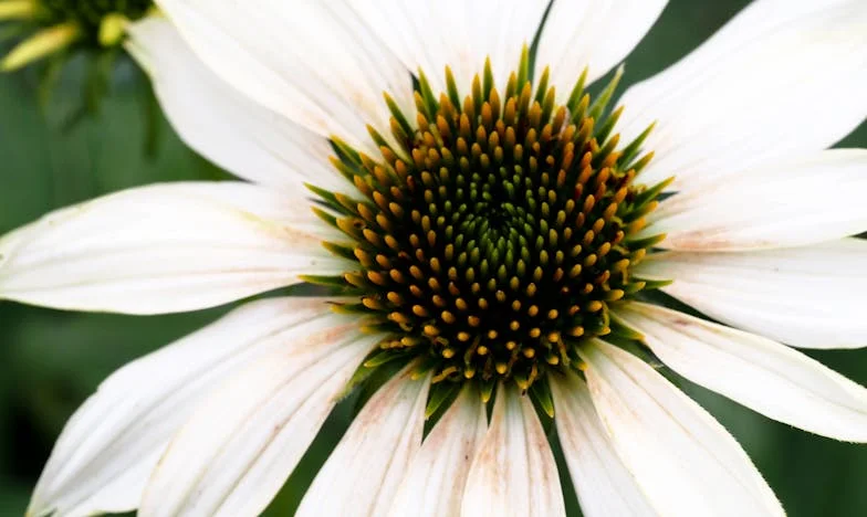 Ljubav na drugom katu: Priča o zabranjenim osjećajima i hrabrosti