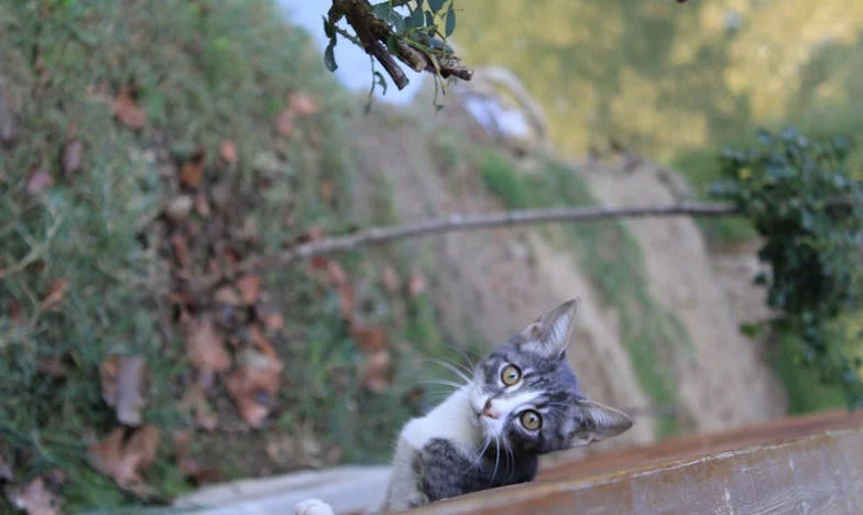 Molitva usred oluje: Kako sam pronašla snagu kad je test očinstva prijetio uništiti moju obitelj