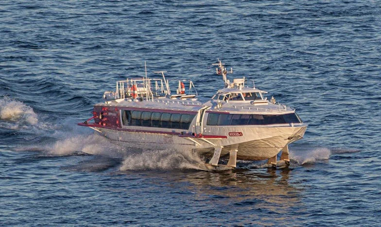 Ostani vjerna njegovoj sjeni: Priča jedne udovice