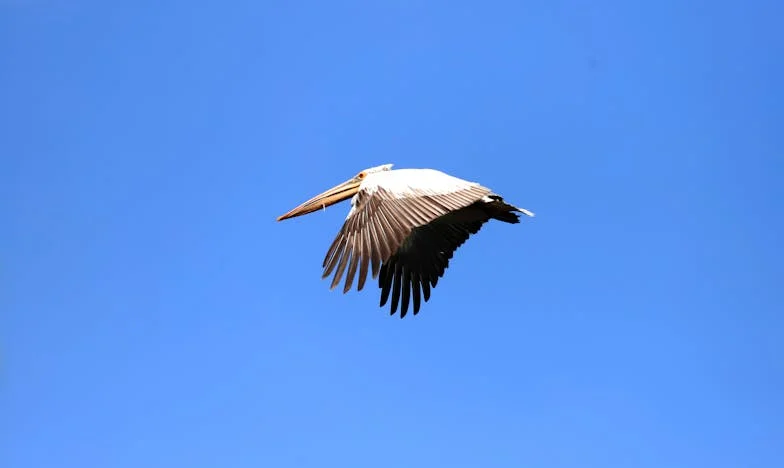 Svekrvina sestra uvijek traži više – Koliko još mogu izdržati?