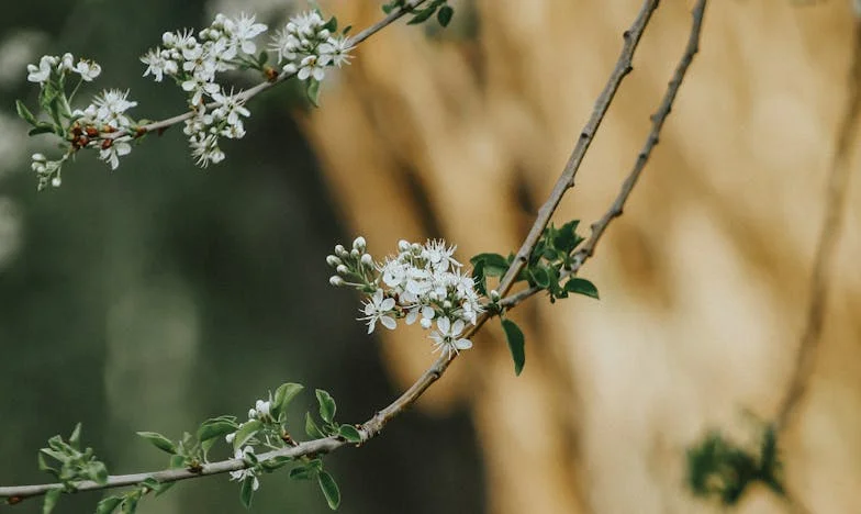 Tajna koja je promijenila sve: U sjeni prošlosti moje obitelji