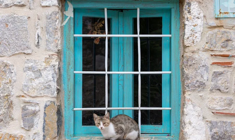 Tajna svadba mog sina: Kad ljubav postane razlog za šutnju