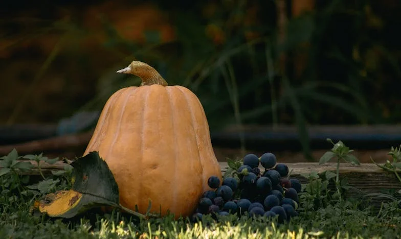 Tri srca, jedna sudbina: Noć koja je promijenila sve