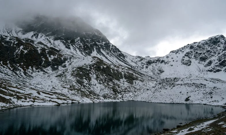 Živim s punicom i svekrom – je li ovo još uvijek dom ili bojno polje?