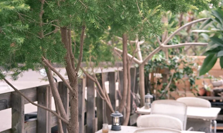 Druga mladost koju nisam željela: Povratak kćerke i unuke pod moj krov