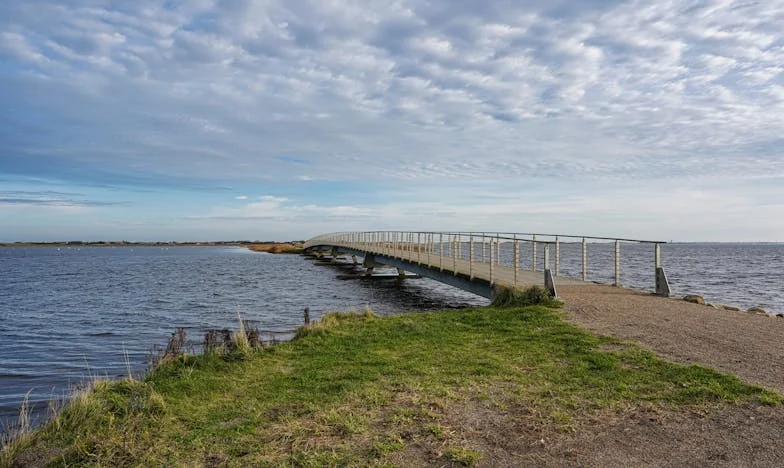 Granice između ljubavi i žrtve: Priča Ewelinine borbe s muževom porodicom