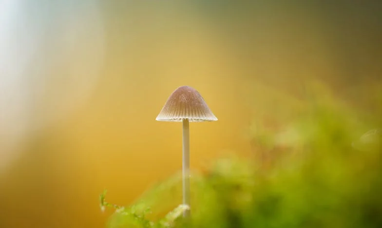 Iskreno: Cela porodica ne voli moju snahu – Jesam li ja kriva što želim da se razvedu?