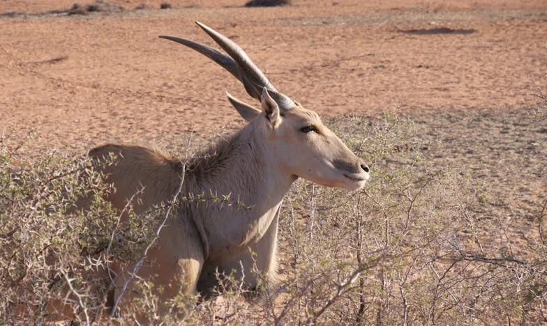 Iz bolnice s troje: Priča o neočekivanoj sreći i borbi