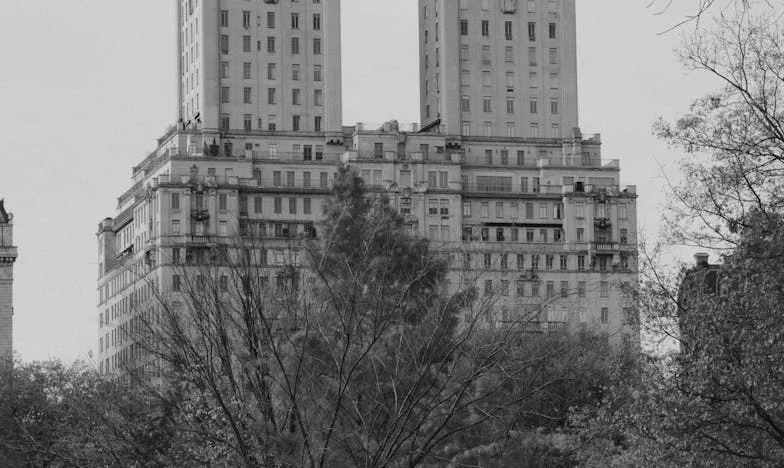 Između Dva Svijeta: Moja Majka, Moj Muž i Borba za Dostojanstvo