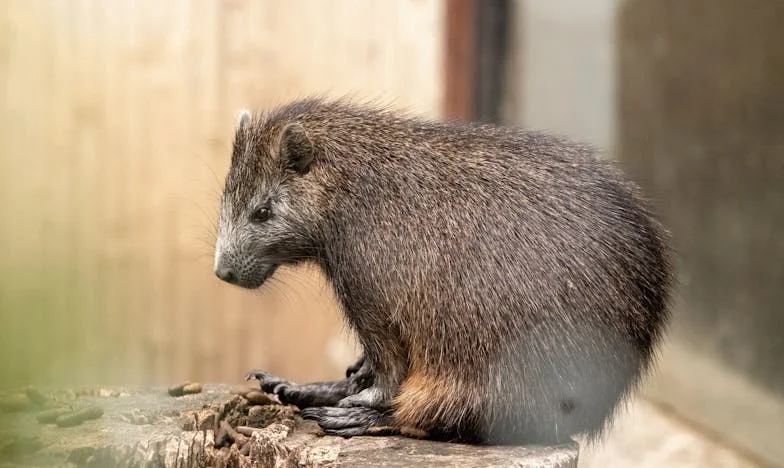 Kad je sve puklo: Priča o granicama, obitelji i meni