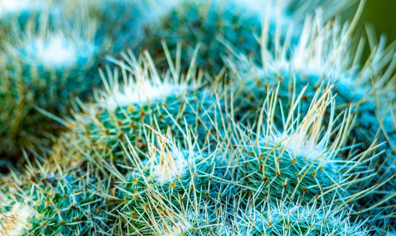 Kad je svekrva imala snage za jednu unuku, ali ne i za mog sina: Priča o boli i nepravdi