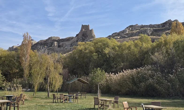 Kad svekrva traži nemoguće: Između doma i tuđih želja