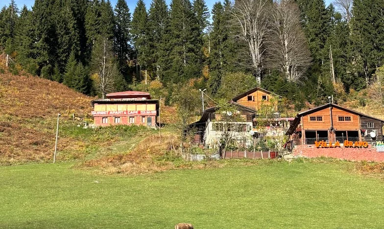 Kuća u kojoj su hlače zabranjene – Priča o obitelji, pravilima i hrabrosti da budeš svoj