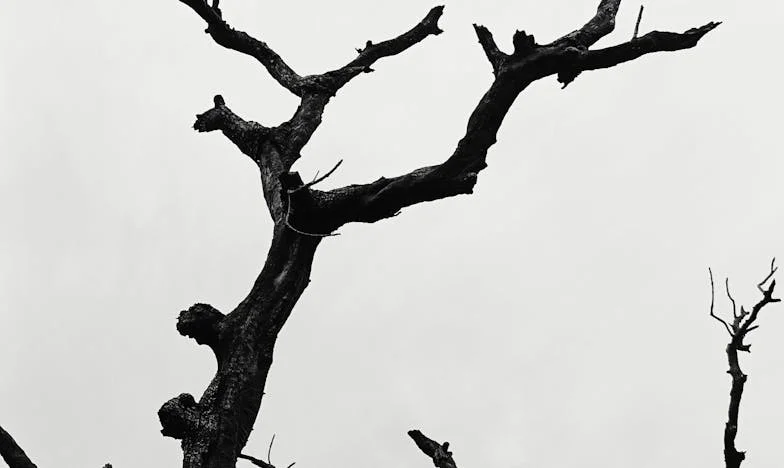 Majčina Pravda: Kad Ljubav Nije Dovoljna