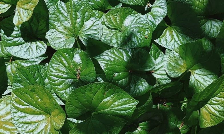 „Mama, od danas spavaš u dnevnom boravku“: Kako sam postala strankinja u vlastitom domu