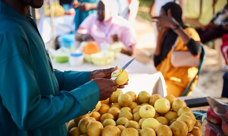 Moj zet je problem: Još jedan otkaz zbog „pravde“. Hoće li porodica izdržati još jednu krizu?