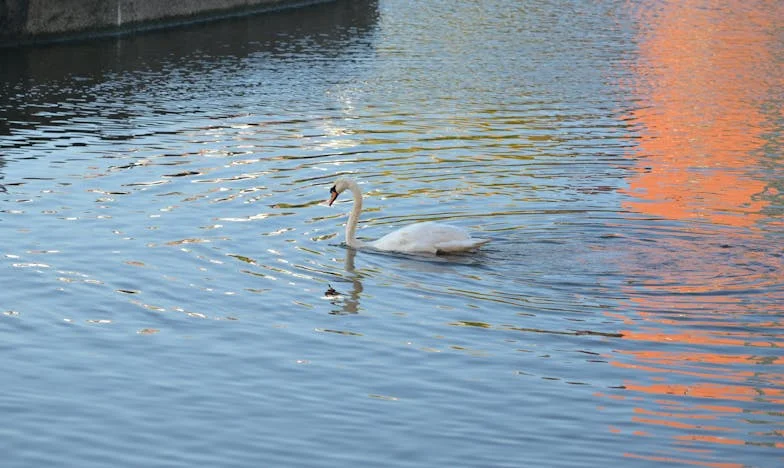 Povratak u selo: Četrnaest godina kasnije, lice u lice s prošlošću