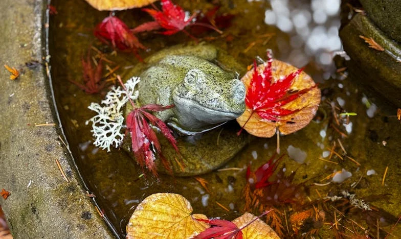 Proljeće na obali: Kad je svekrva pokucala na vrata našeg mira