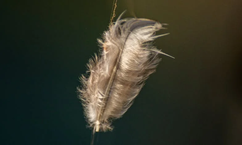 Stan koji mi nikada nije pripadao: Priča o obiteljskim očekivanjima i granicama