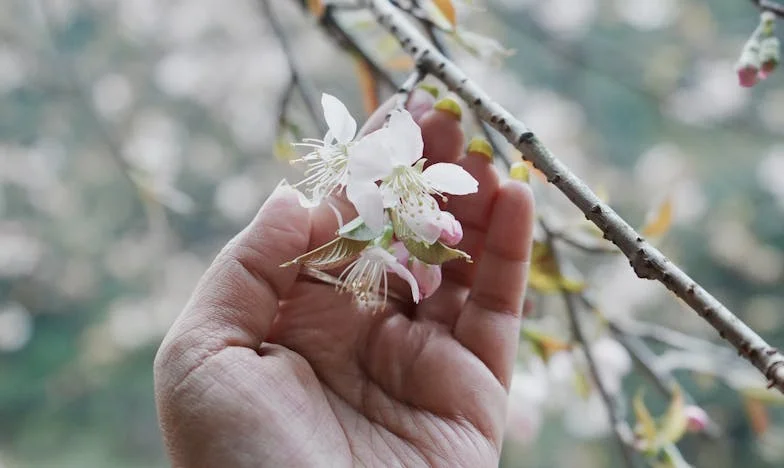 Teret nasljedstva: Između boli i borbe za sina