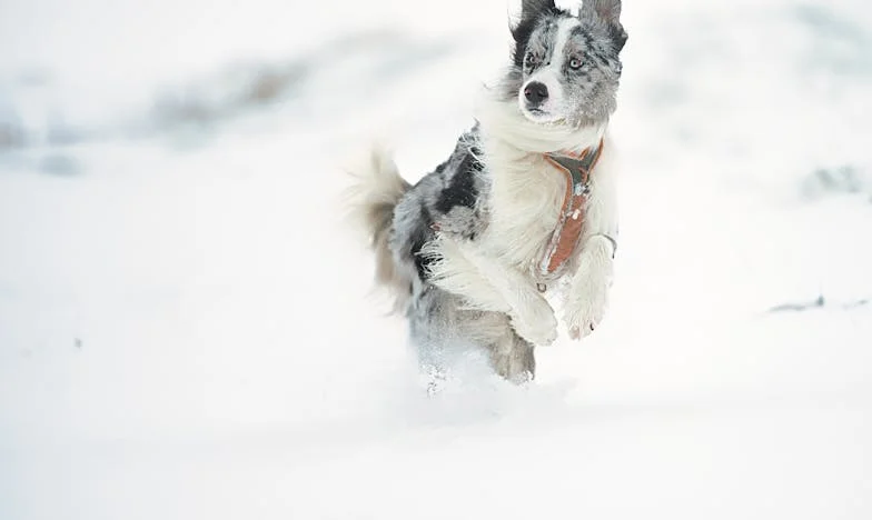 „Ti cijeli dan ništa ne radiš“ – Istina o majčinstvu koju nitko ne želi čuti