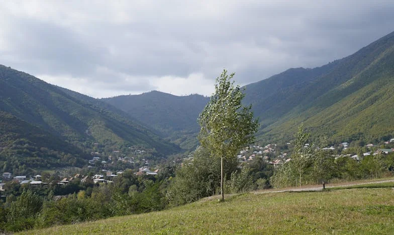 Tri mjeseca tišine: Kada odmor podijeli obitelj