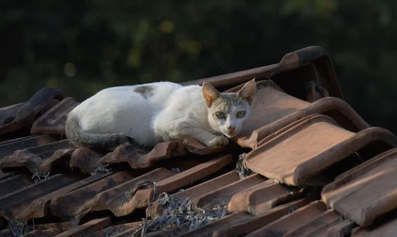 Zašto uvijek ja moram popustiti? – Priča o roditeljstvu, frustraciji i tihim zamjeranjima