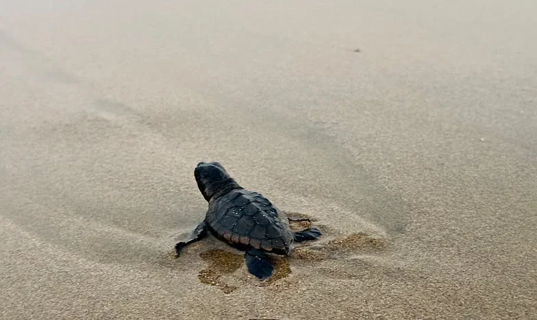 Zatvorila sam oči pred njegovim izdajama – dok nisam pala na ulici i shvatila tko je stvarno uz mene
