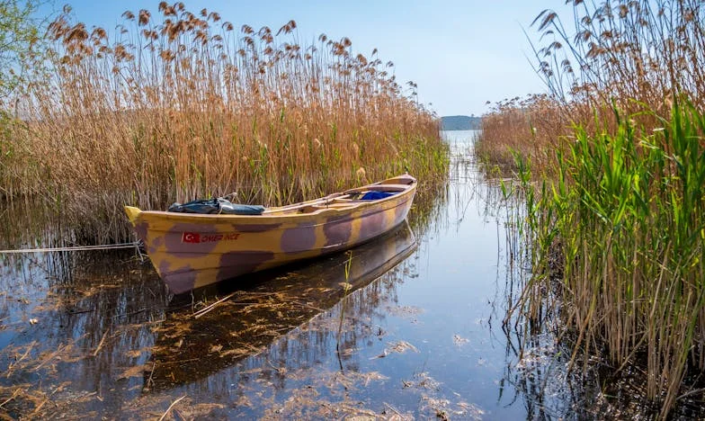 Dvostruki život moga muža: Istina koja je razbila naš dom
