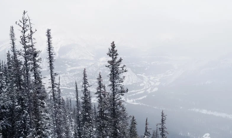 Gost u vlastitoj kući: Ispovijest Lejle iz Sarajeva