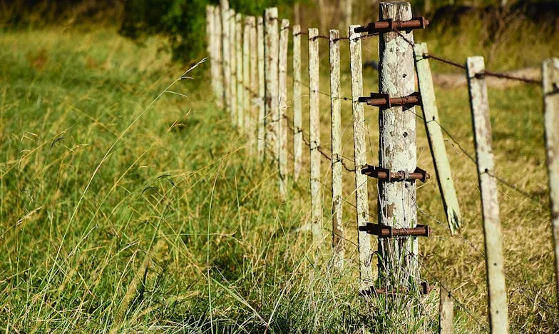 Imala sam pravo izbaciti svekrvu iz kuće?