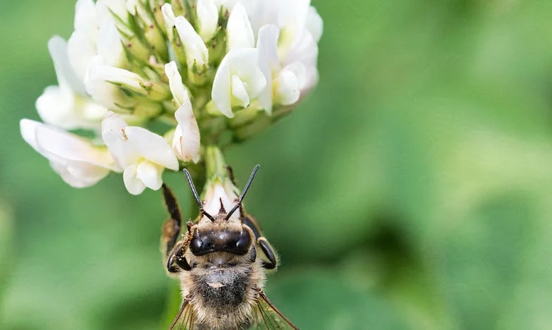 Izbačena iz doma zbog trudnoće: Nakon deset godina, roditelji su došli moliti za oprost