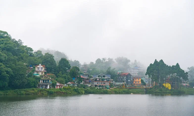 Između lojalnosti i vlastite sreće: Gorka cijena porodičnih obaveza