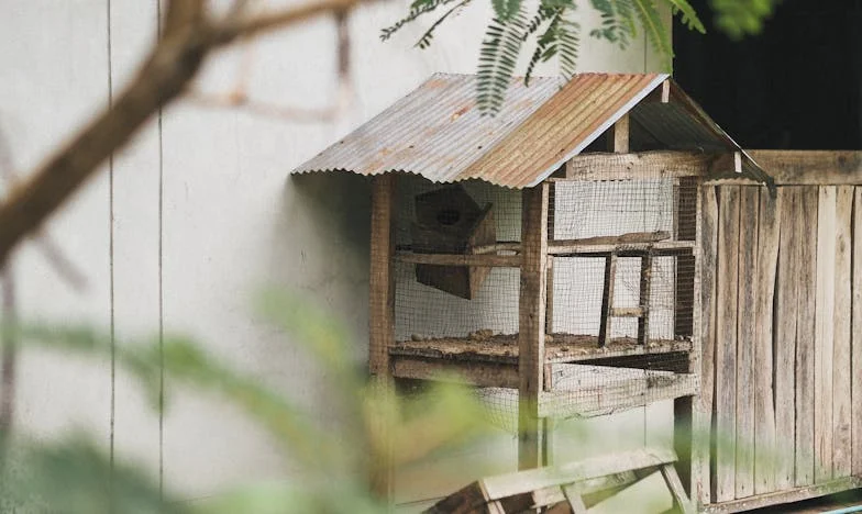 Između Tišine i Oluje: Kako Sam Molitvom Pronašla Mir u Obitelji