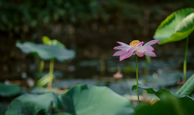 Između ucjene i oprosta: Kako nas je vjera spasila