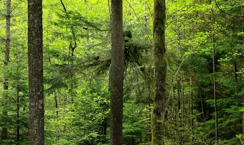 Jesam li samo bankomat? Moja borba za ljubav i poštovanje u vlastitoj porodici