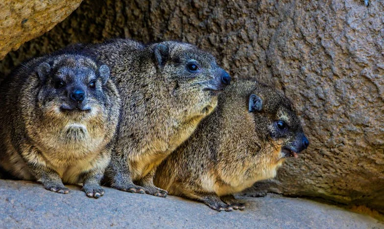 Kad ljubav postane bojno polje: Moj razvod i borba za kćerku