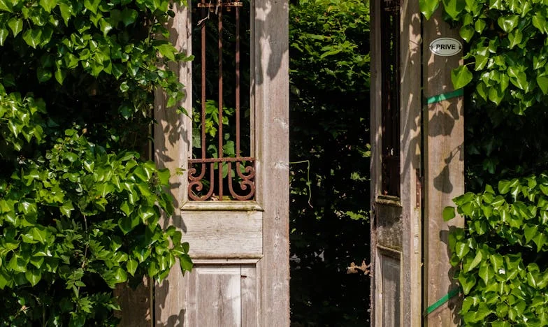 Kad svekrva odluči: Moj život pod istim krovom s mužem i njegovom majkom