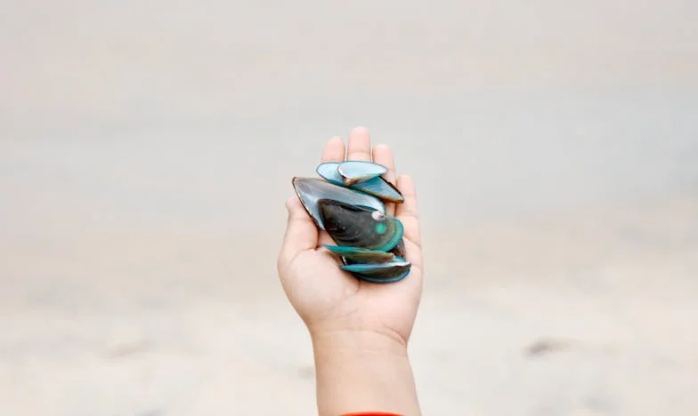 Moj brat Ivan i ja: Priča o maloj ruci koja mijenja svijet