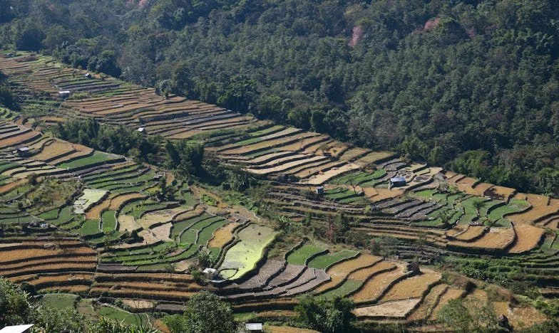 Moja šogorica, njeno dijete i moja tišina: Noć koja je sve promijenila