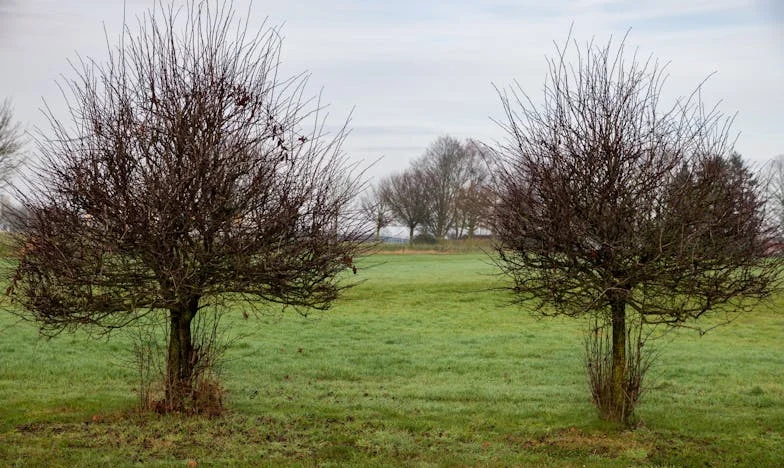 Nakon što me je Lejla ostavila: Moja borba s kilogramima i samim sobom