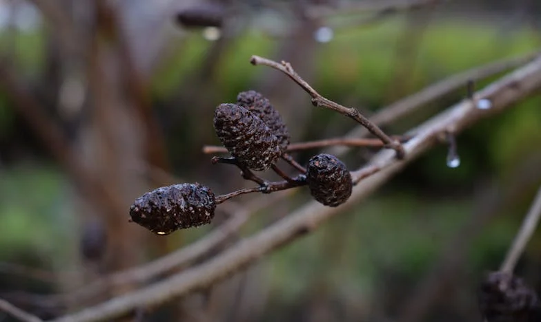 Nevidljivi žiri: Jedna haljina, jedno veče i težina presude