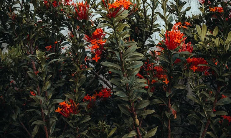 „Ovo je stan moga sina, a ti si ovdje nitko“ – priča o borbi za dostojanstvo u tuđem domu