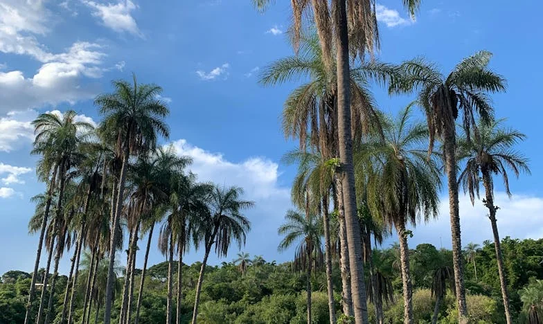 Povjerenje Slomljeno: Kako je Najam Kuće Mojoj Šogoru Zamalo Uništio Moju Obitelj