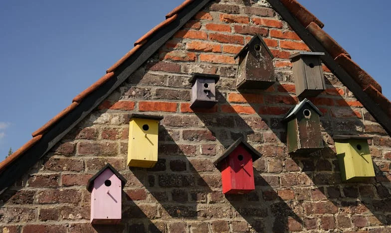 Srce malog Davora: Priča o gubitku, hrabrosti i oprostu