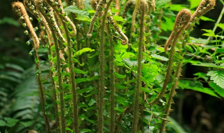 Tajna koja razara: Može li se voljeti kad je sve laž?