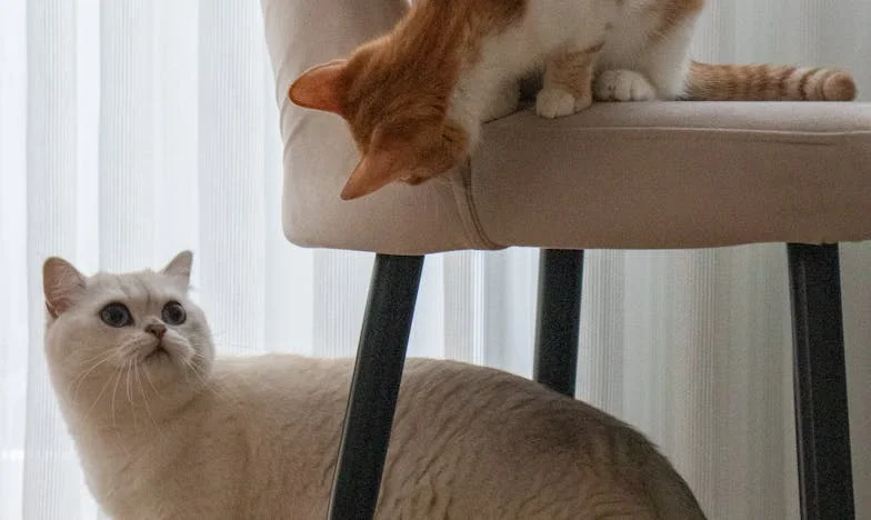 „To nije njegovo dijete!” – Priča jedne majke iz Sarajeva o odbacivanju, ponovnom početku i oprostu