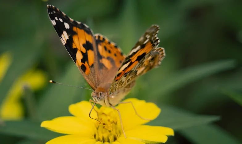 Vratio sam se ranije kući i zatekao prizor koji mi je slomio srce: Priča o gubitku, obiteljskim sukobima i ljubavi koja liječi rane