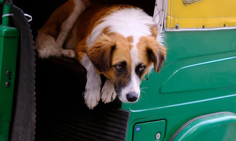 Zašto ne mogu dati mami ključ od svog stana? Moja borba za vlastiti mir